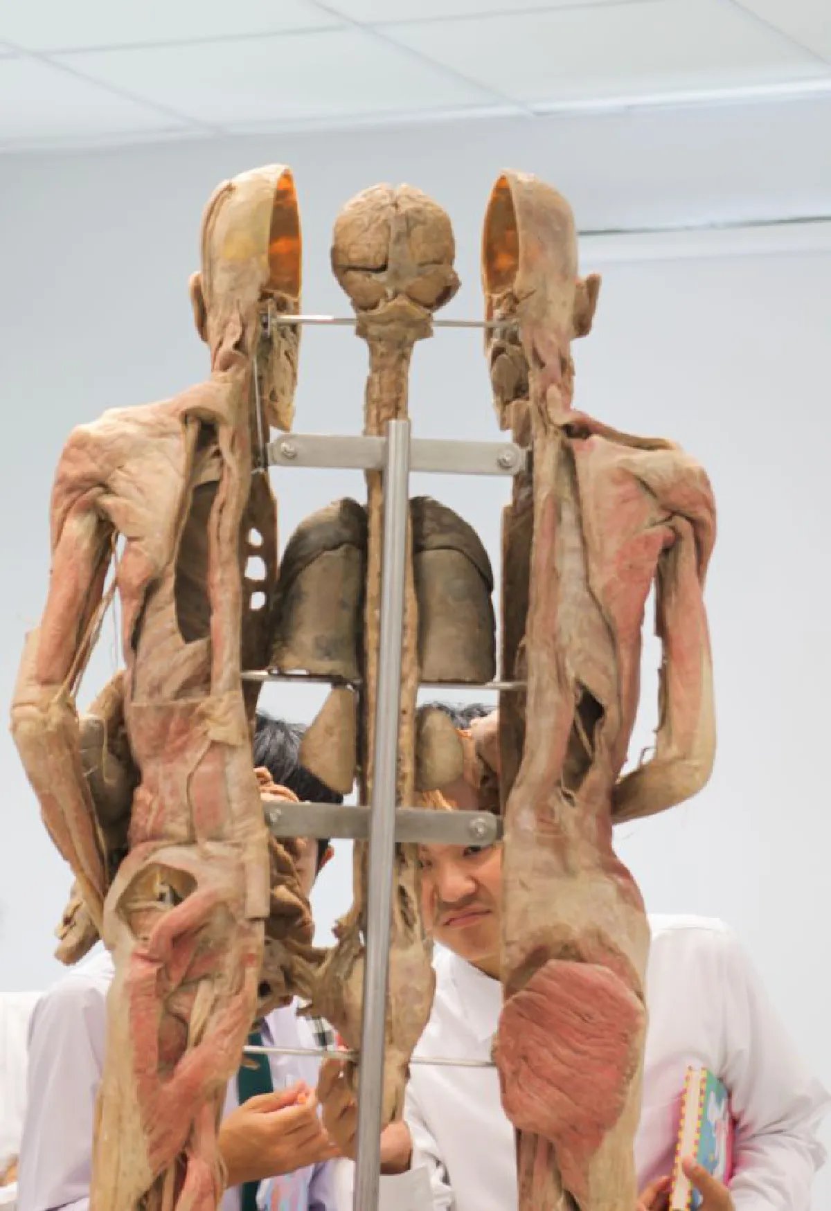 🏛️ 쓰야마 자연 신비관(쓰야마 시젠노 후시기칸) 이미지 4